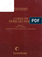 Curso de Derecho Penal. Tomo I - Vivian Bullemore y John Mackinnon PDF