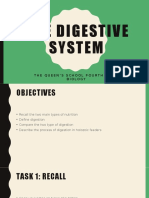 The Digestive System TQS 4th Form