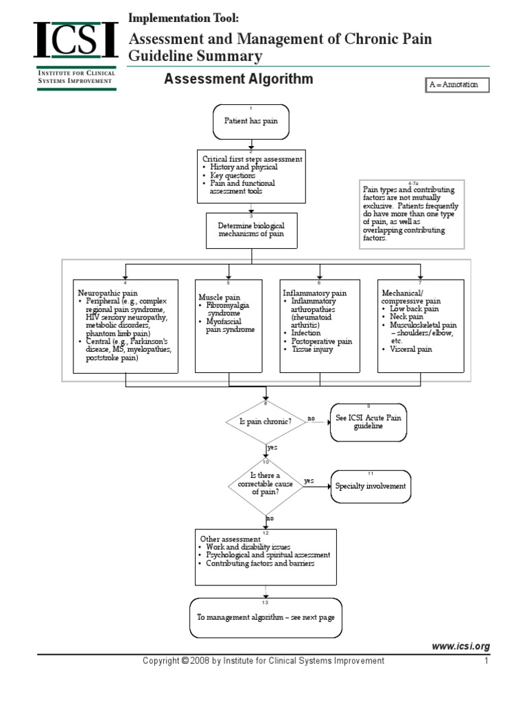 Assessment and Management of Chronic Pain Guideline Summary | PDF ...