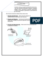 LOS SERES VIVOS (Tema 1)