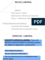 Derecho Laboral, Aspectos Generales