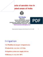 Prospects of Aerobic Rice in Irrigated Areas of India