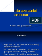 Anatomia Aparatului Locomotor