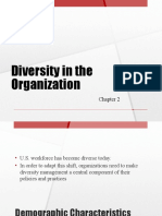 Diversity in The Organization