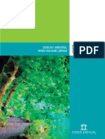 Revista Colecciones Juridicas DERECHO AMBIENTAL PDF