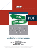 COSO ERM Sustainability and Risk