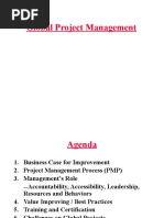 RAG Status Guide for Project Management | PDF | Color | Red