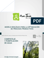 Modelo Biológico para La Optimización de Procesos Productivos PDF