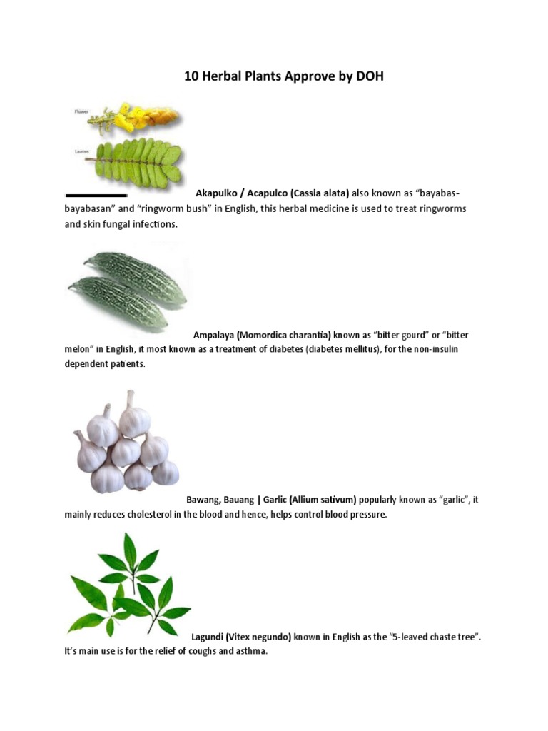 10 Herbal Plants Approve by DOH PDF