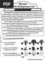 romana si matematica.pdf.pdf