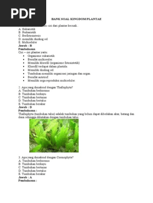 Bank Soal Kingdom Plantae