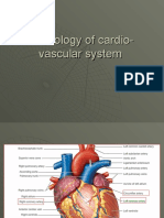 Cardio-Vascular Pathogy