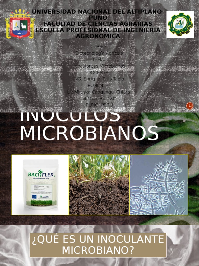 Inoculos Microbianos | PDF | Agronomía | Suelo