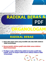 Radikal Bebas Dan Senyawa Organologam