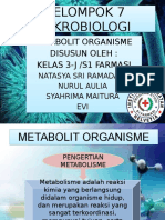 Kelompok 7 Mikrobiologi