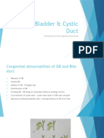 Gall Bladder & Cystic Duct
