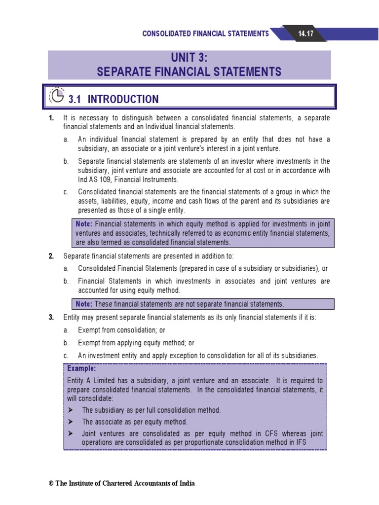 Unit 3: Separate Financial Statements | PDF | Financial Statement ...