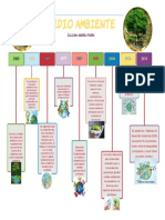 Línea del Tiempo Medio Ambiente