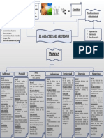 Mapa Conceptual CARACTER DEL CRISTIANO