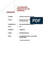 TRABAJO APOLAYA DERECHO PROCESAL CIVI - Principios Actividad Probatoria