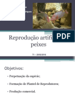 Reprodução de tilápias T1.pdf
