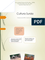9 Aula - Identidade e Cultura Surda PDF
