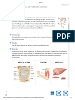 Modulo 4, P. Auxilios, Cruz Roja PDF