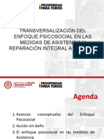 Transversalización Del Enfoque Psicosocial