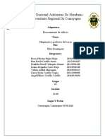 Maquinaria y Equipo Utilizado en El Proceso Del Cacao