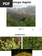 AulaTeorica_8-9 (voz).ppsx