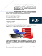 AUDITORIA PROPI PLANTA Y EQUIPO