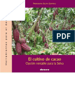 Cultivo de Cacao