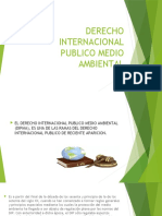 Derecho Internacional Publico Medio Ambiental