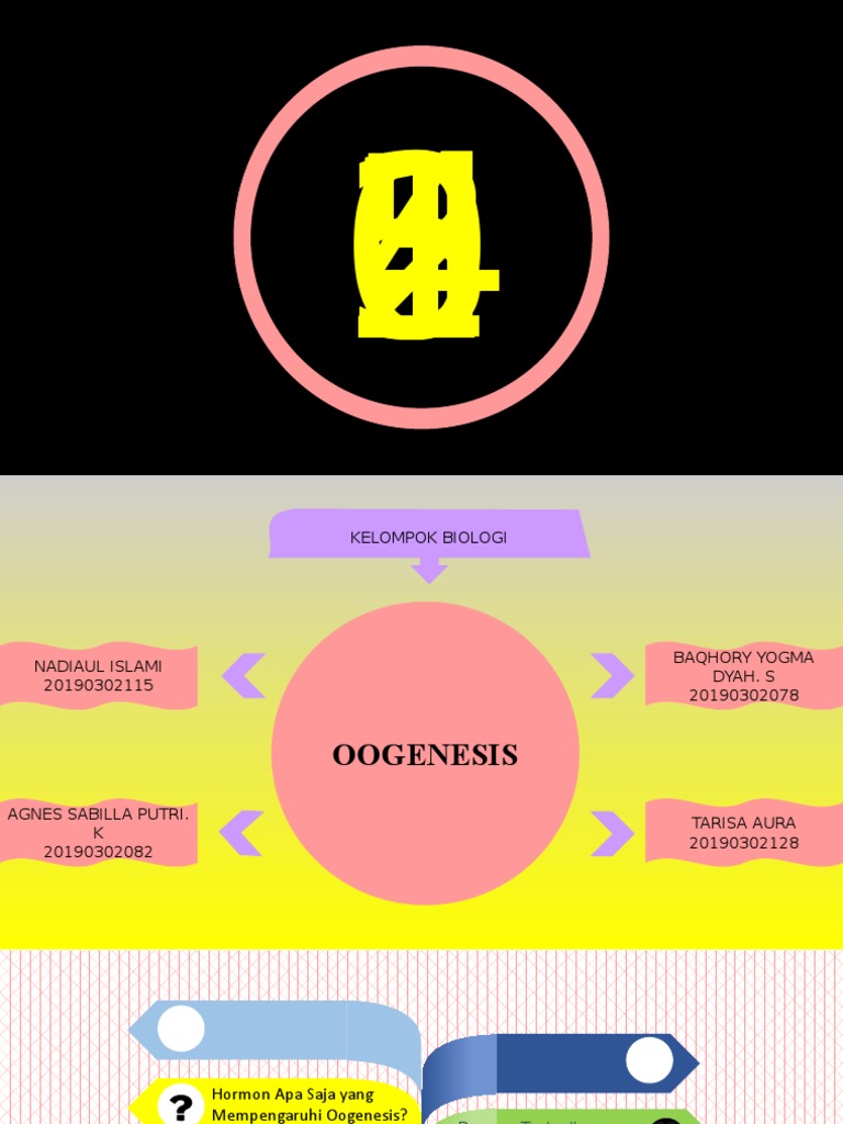 Pada peristiwa oogenesis setiap satu oogonium yang mengalami meiosis akan membentuk