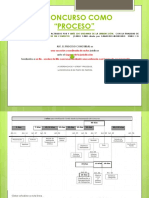 BOLILLA 3.1 CONCURSO COMO PROCESO  PRINCIPIOS PROCESALES