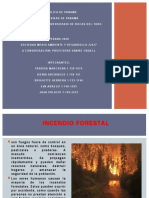 Incendios Forestales