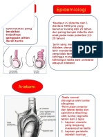 Torsio Testis