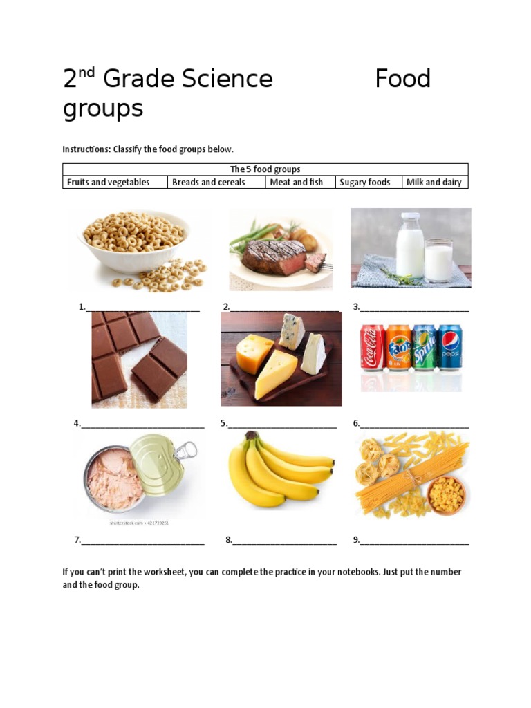 2nd Grade Food Groups Worksheet | PDF | Social Science | Science ...