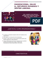 Diapositivas Clima Organizacional