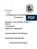 Reporte de Actividad Composta