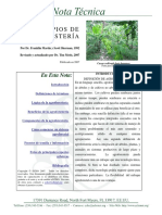 agroforesteria.pdf