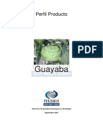 Perfil de Guayaba PDF