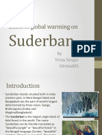 Effect of Global Warming On Suderban