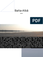 Balta-Alba_istoric