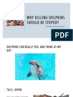 Why Killing Dolphins Should Be Stoped?: Carolina Medina Aragón