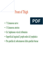 Front of Thigh Anatomy: Cutaneous Nerves, Arteries, Veins & Lymphatics