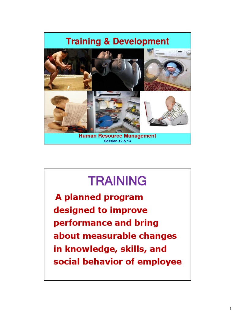 Training and Development Strategies Guide | PDF | Educational ...