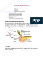 TEMA 14.1 Digestivo