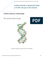 Unidad Didáctica - Genética Molecular y Reproducción Celular Propuesta Didáctica - El ADN, Más Que Un Hilo Conductor