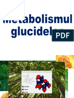 glucide 1 (1).ppt